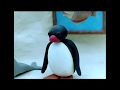 Pingu Pingu S Museum Visit