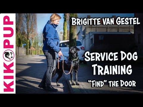 What is Clicker Training