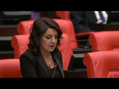 CHP'li Gülcan Kış: “Öğretmenler açlık grevinde, Bakanlık hâlâ sessiz”
