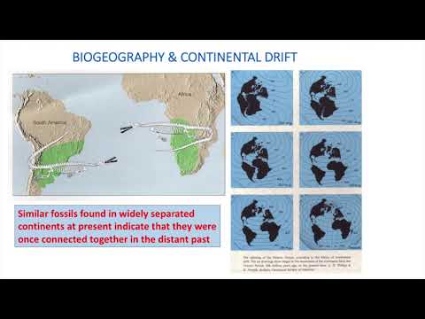 Dr Living Lee "A Theistic Approach to Geology, Evolution and Fossil Evidence" Kairos Forum Part 1/3