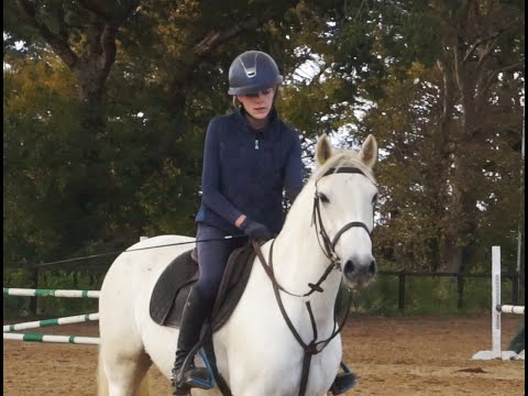 🌟 144cm All-Rounder Connemara 🌟 - Image 2