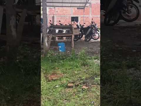 Centro poblado del Corregimiento de San Vicente en Isnos, Huila