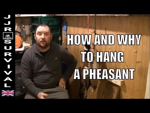 download lagu mp3 mp4 How Long To Hang A Pheasant, download lagu How Long To Hang A Pheasant gratis, unduh video klip How Long To Hang A Pheasant