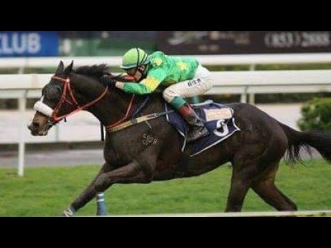 澳門大學校友會盃「名門叁號八米 (22/3/2014) under Ryan Curatolo