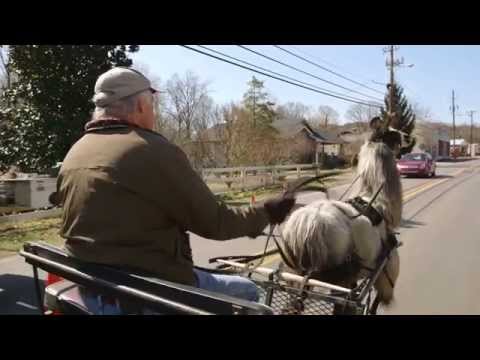 Llama Nation: The Documentary *Official Trailer*