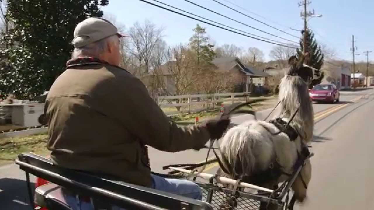 Llama Nation: The Documentary *Official Trailer*