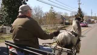 Llama Nation: The Documentary *Official Trailer*