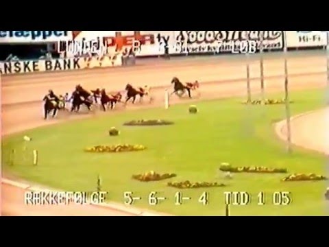 1981 Copenhagen Cup - Jorky