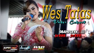 Download lagu Wes Tatas (Cover Putri Cebret) SUPRANADA INDONESIA || BAP AUDIO - live Petung Jatiyoso Karanganyar mp3
