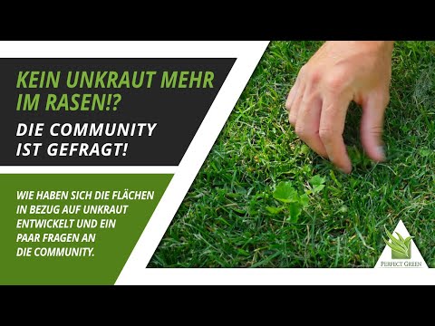 🌱 Kein Unkraut mehr im Rasen?! Welches Mittel wirkt am besten?  /  Fragen an die Community   🌱