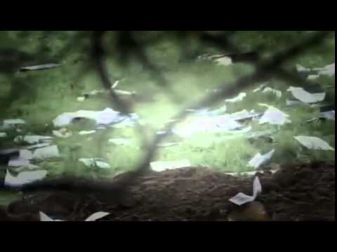 Air Crash Investigations Mayday 11x10 I'm The Problem Pacific Southwest Airlines Flight 1771