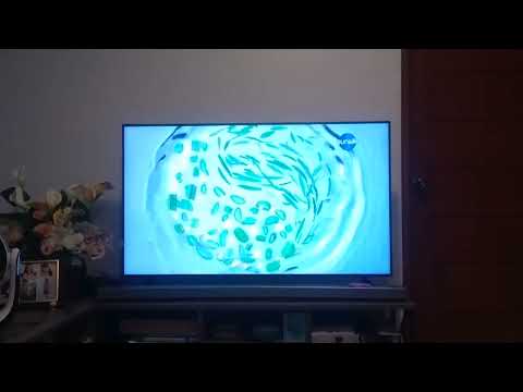 New Sunsilk Anti-dandruff Shampoo TVC 15s on Kapamilya Channel 2023 to 2024