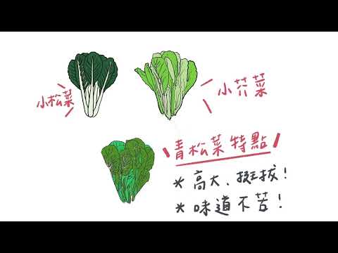 有機蔬菜產地到餐桌(第六集：葉菜專屬身份證)