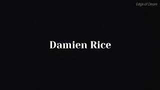 Damien Rice - Accidental Babies (Tradução)
