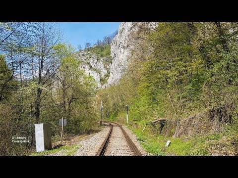Spring Train RearView in Apuseni Mountains | Vadu Crișului - Șuncuiuș