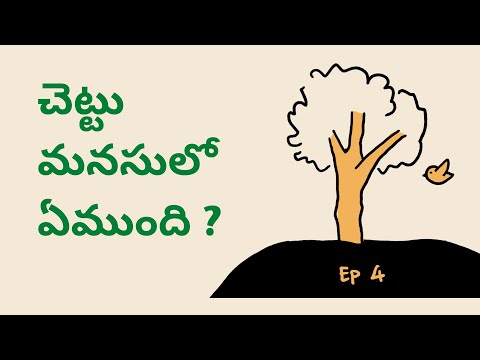 stories for Kids | Bedtime Stories in Telugu | Pitta Katha | Neethi kathalu in Telugu for kids