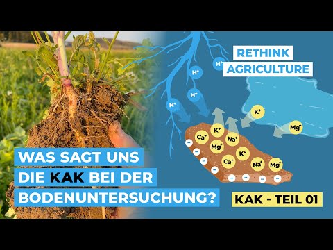 Was sagt uns die KAK bei der Bodenuntersuchung? (KAK - Teil 1)