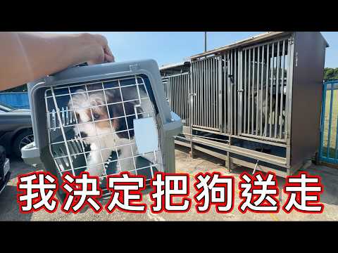 【賤葆日常】再見狗子