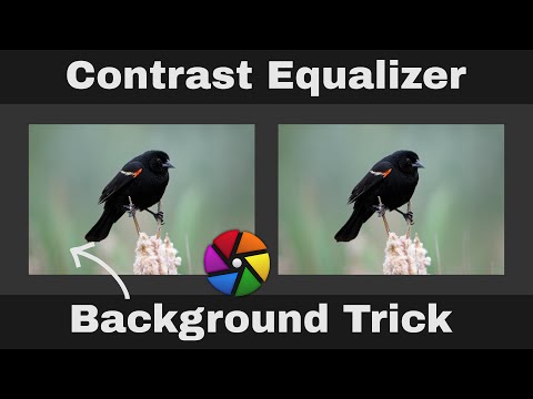 Improve Out of Focus Backgrounds With the Contrast EQ: Darktable