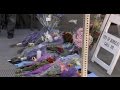 Deaths, injuries in California balcony collapse