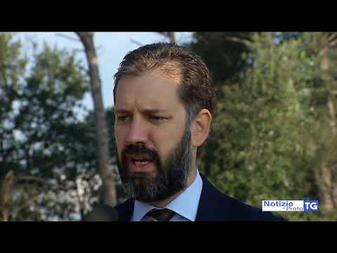 2017-09-28 PRATO - MALATI O PERICOLANTI, INIZIATO TAGLIO DI 70 ALBERI