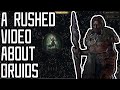Is The Path Of Exile 2 Druid Good A Rushed Critique