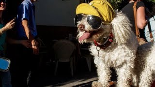 Semana Santa y Pascua 2013 | UnPocoPersonal @JorgeVoice