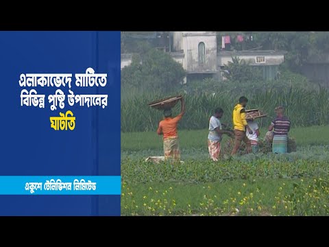 মাটির পুষ্টি উপাদান অধিকহারে কমছে