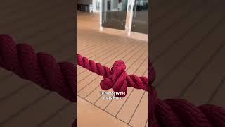 MSC Opera od środka 🚢 | jak wygląda statek?