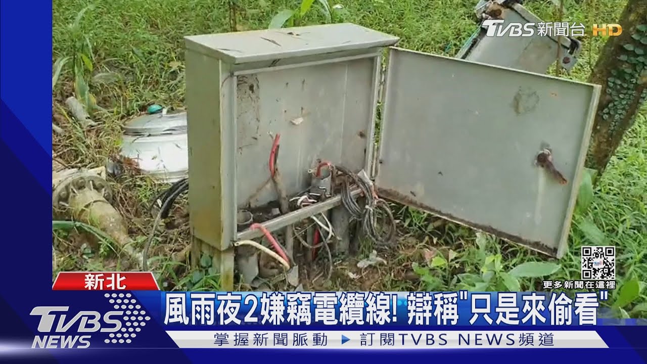 宵小趁周末闖住宅外偷電纜! 警逮兩賊辯「挖竹筍」
