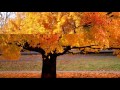 Alison Krauss   I Know Who Holds Tomorrow