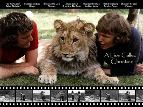 A Lion Called Christian - The True Story of Christian the Lion HD