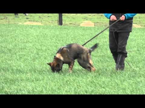 Eschly z Gargamellu -  tracking 7months