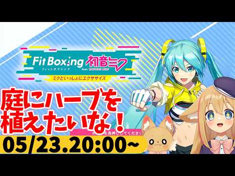 【FitBoxing初音ミク】ミクササイズ４５２日目　一戸建てで庭ができるのでハーブ植えたいな