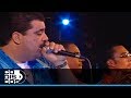 Te Va A Doler, Maelo Ruiz - En Vivo