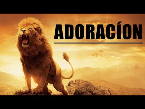 💕Hermosa Adoración Extrema 💕 Para Orar Y Adorar A Dios 💕 Música de Adoración Cristiana #6