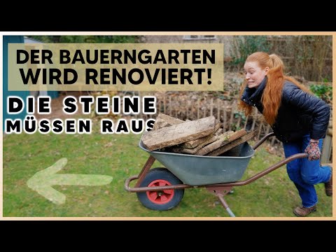 AUFRÄUMAKTION IM GARTEN 🪨🌿  Baumgarten PART 1