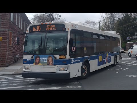 Bx16 Bus Time