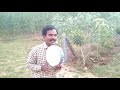 Gade Sammaiya