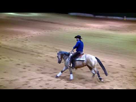 My Lucky Gun  & João Felipe Lacerda