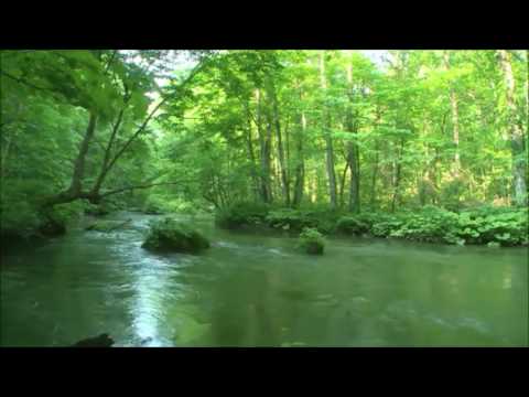 BIBLIA FALADA 1 ISAIAS