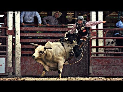 download lagu mp3 mp4 Bull Riding Music, download lagu Bull Riding Music gratis, unduh video klip Bull Riding Music