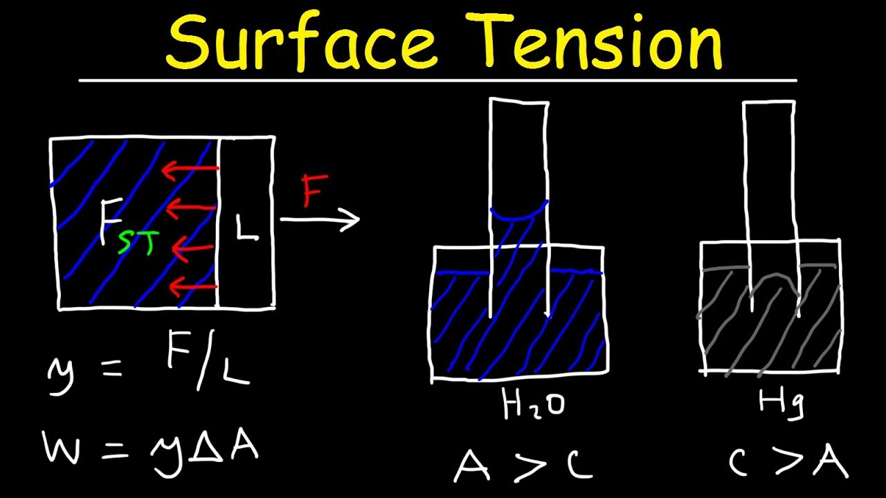 Surface Tension of Water, Capillary Action, Cohesive and Adhesive Forces - Work & Potential Energy