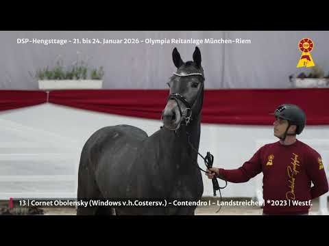 Lot 13 v. Cornet Obolensky / Contendro I