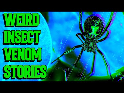 Bizarre Insect Bite Stories