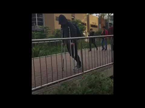 BCM207 Assessment three - Matthew Shen