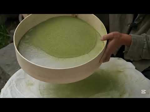 ẞdz outdoor day 239 #cooking #ßdz #viralvideo #video