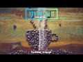 How We Like It Youtube Audio Library Music Dan Lebowitz Rock Funky