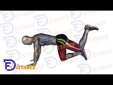 Exercice Kickback - Extension des fessiers au poids du corps