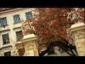 Vienna Austria Old Town Symphony Vienna Waits For You